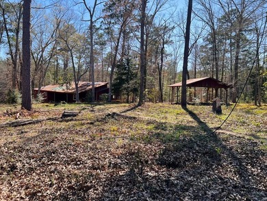 Overlooking a seasonal cove of Toledo Bend, this unique property - photo 27
