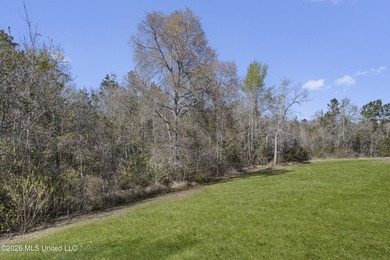 Beautiful 5-year-old Kingston floor plan by D.R. Horton - photo 33