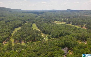Brock Lake  Lot For Sale in Birmingham Alabama
