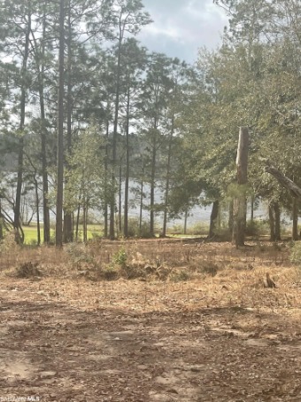 Lake Lot Off Market in Loxley, Alabama