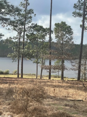 Lake Lot Off Market in Loxley, Alabama