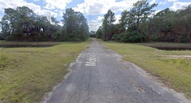 Lehigh Acres Area Lot For Sale in Lehigh Acres Florida