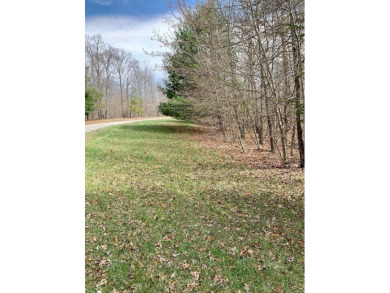 Long Lake Lot For Sale in Spencer Tennessee