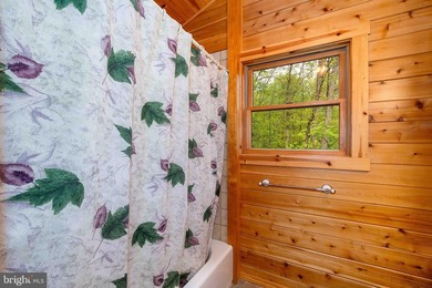 One-of-a-kind Youghiogheny riverfront estate offering 224 feet - photo 30