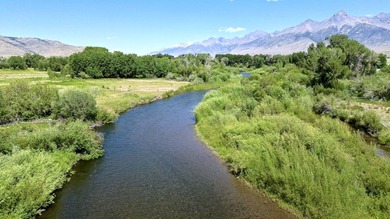 (private lake, pond, creek) Acreage For Sale in Mackay Idaho