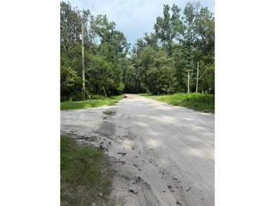 Suwannee River Lot For Sale in Fort White Florida