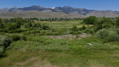 Amazing chance to own a lot on the Big Lost River. Detailed - photo 3