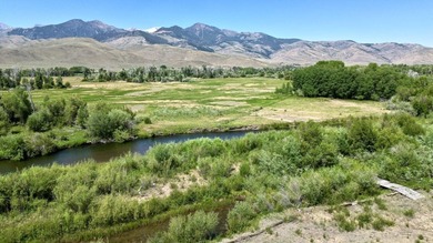 Amazing chance to own a lot on the Big Lost River. Detailed - photo 7