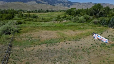 Amazing chance to own a lot on the Big Lost River. Detailed - photo 8