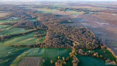 Lake Acreage Sale Pending in Sorento, Illinois