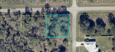 Lehigh Acres Area Lot For Sale in Lehigh Acres Florida