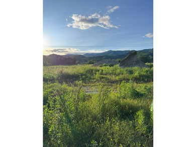 RV PADS IN PLACE- 10 acres Highway frontage with Valley River - photo 6