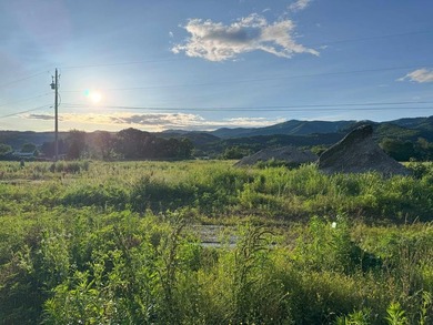 RV PADS IN PLACE- 10 acres Highway frontage with Valley River - photo 10