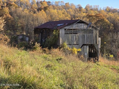 Clinch River - Hancock County Acreage For Sale in Sneedville Tennessee