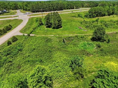 Very nice 12.5 acres of land with no restrictions. Located on - photo 3