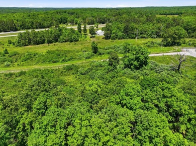 Very nice 12.5 acres of land with no restrictions. Located on - photo 6