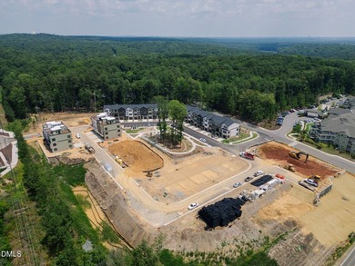 Move-in-ready, Coker Place brings a seamless kind of Chapel Hill - photo 33