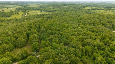Gorgeous Hunting Retreat in the Missouri Ozarks Near Norfork - photo 3