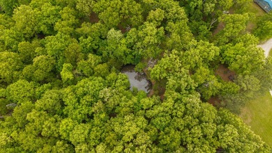 Gorgeous Hunting Retreat in the Missouri Ozarks Near Norfork - photo 4