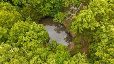 Gorgeous Hunting Retreat in the Missouri Ozarks Near Norfork - photo 5