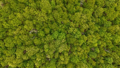 Gorgeous Hunting Retreat in the Missouri Ozarks Near Norfork - photo 8
