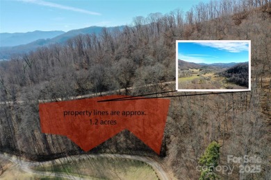 Lake Lot For Sale in Waynesville, North Carolina