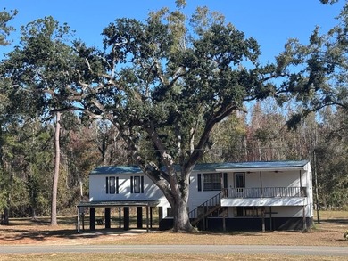 Tippins Lake Home For Sale in Uvalda Georgia