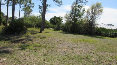 Burnt Store Lakes Area Lot For Sale in Punta Gorda Florida