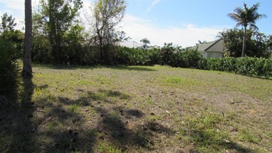Amazing opportunity to purchase one of the last undeveloped - photo 3