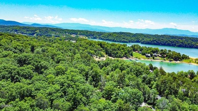 Enjoy the best of East Tennessee living in this exceptional - photo 42
