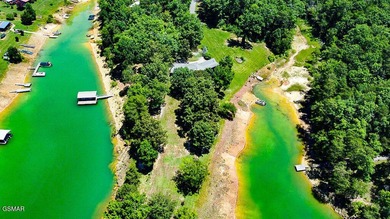 Enjoy the best of East Tennessee living in this exceptional - photo 50