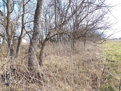 Lake Acreage For Sale in Yates Center, Kansas