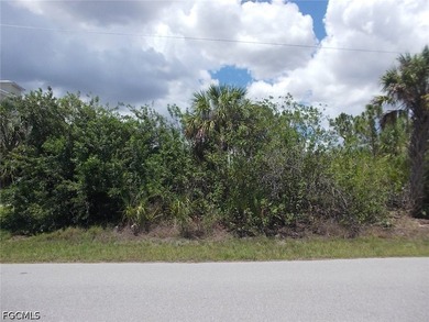 PRICED TO SELL - Port Charlotte Freshwater Lot Available Now! - photo 5