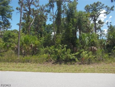PRICED TO SELL - Port Charlotte Freshwater Lot Available Now! - photo 6
