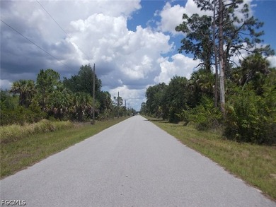 PRICED TO SELL - Port Charlotte Freshwater Lot Available Now! - photo 8