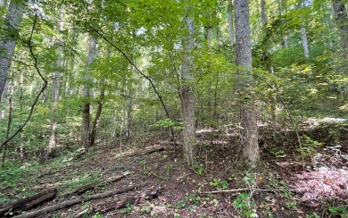 4.97 BEAUTIFULLY WOODED ACRES IN THE NORTH GEORGIA MOUNTAINS!! - Lake Lot For Sale in Hiawassee, Georgia