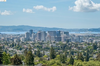 With sweeping views that stretch from downtown Oakland to the - photo 14