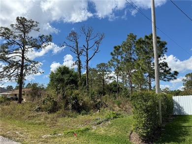 Lehigh Acres Area Lot For Sale in Lehigh Acres Florida