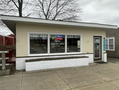 (private lake, pond, creek) Commercial For Sale in Marion Michigan