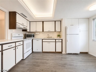First Floor Beautifully Remodeled Home in a Quiet 55+ Community - photo 7