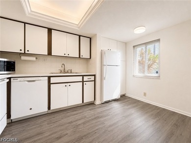 First Floor Beautifully Remodeled Home in a Quiet 55+ Community - photo 8