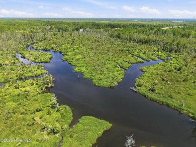 119+- acres with 995feet of frontage on Highway 17 and 4500+- - photo 11