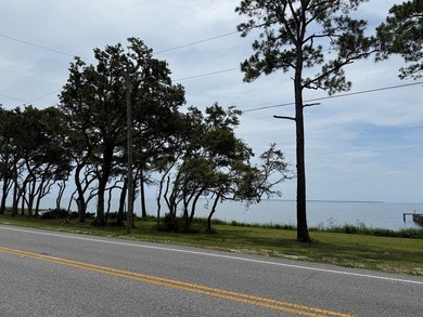 BUILD NOW! STUNNING BAY VIEW HOMESITE WITH BAY FRONT BEACH! Fish - photo 11