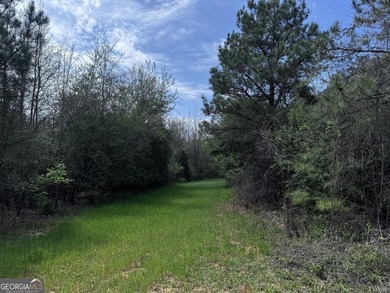 The Jefferson Place is located on Hwy 137, just west of Buena - photo 2