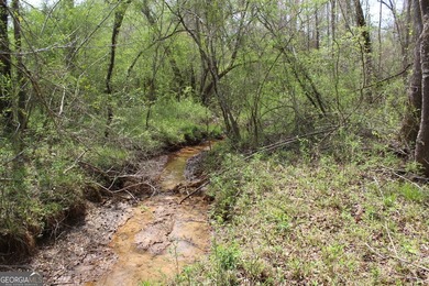 The Jefferson Place is located on Hwy 137, just west of Buena - photo 3