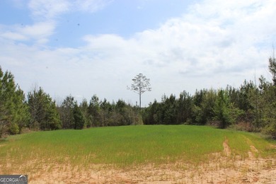 The Jefferson Place is located on Hwy 137, just west of Buena - photo 4