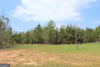 The Jefferson Place is located on Hwy 137, just west of Buena - photo 5