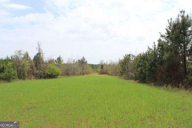 The Jefferson Place is located on Hwy 137, just west of Buena - photo 7