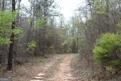 The Jefferson Place is located on Hwy 137, just west of Buena - photo 8