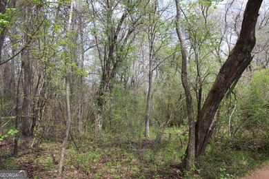 The Jefferson Place is located on Hwy 137, just west of Buena - photo 9